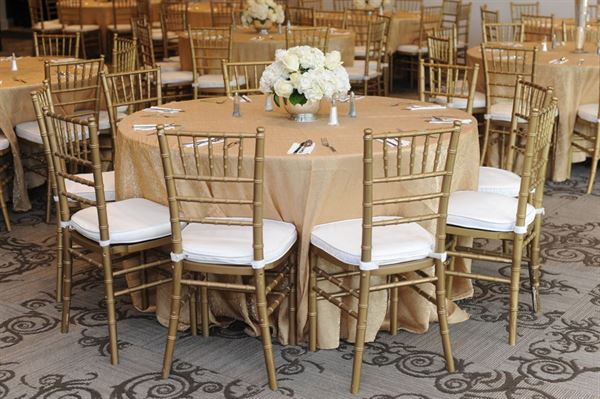 Albany Museum Of Art