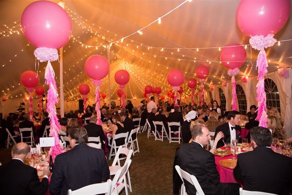 Albany Museum Of Art