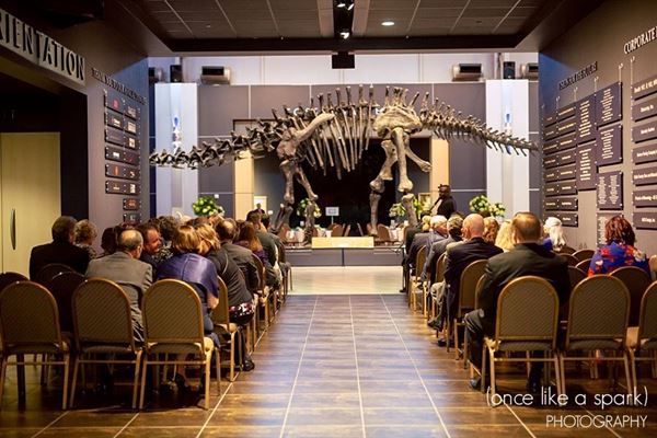 Tellus Science Museum