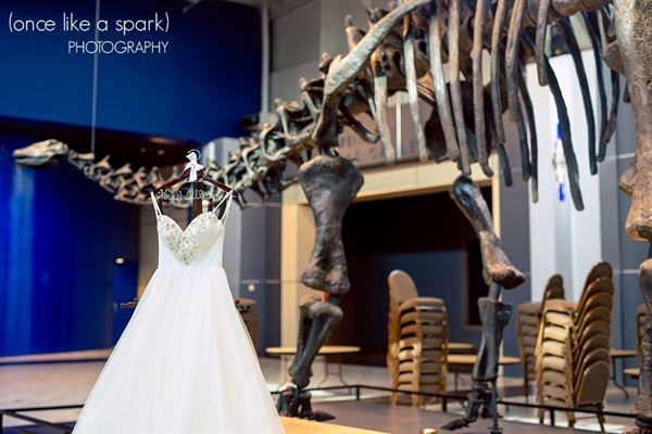 Tellus Science Museum