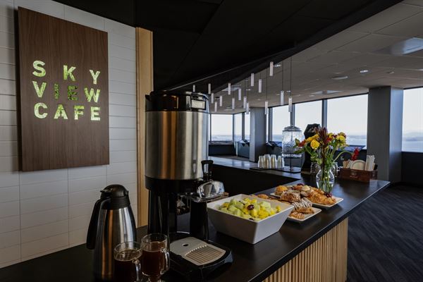 Sky View Observatory