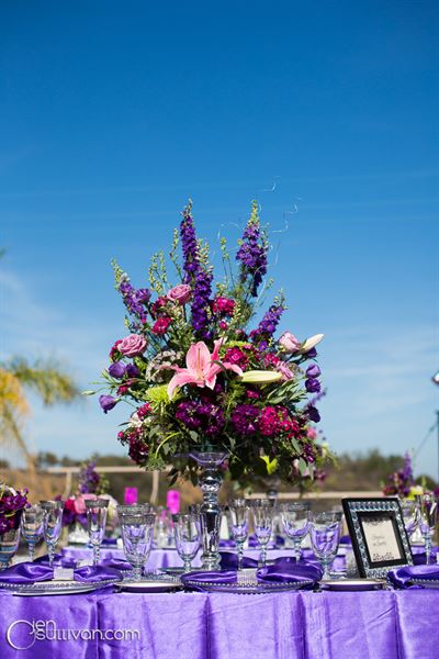 Vanessa Domenech Events