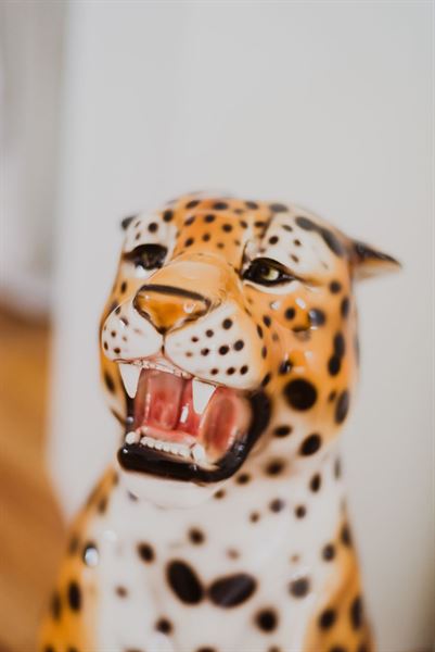 Wolfville Wedding Chapel