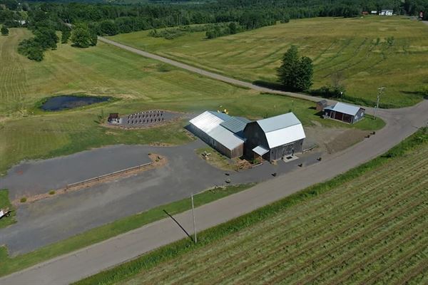 The Barn at Windswept Farm