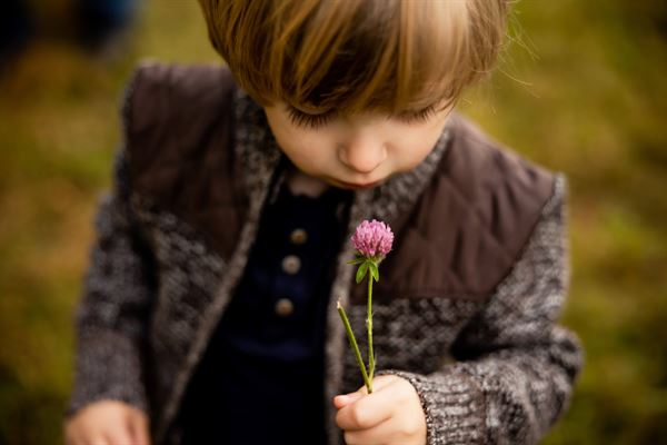 Apollo & Ivy Photography