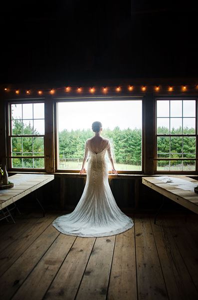 White Pine Berry Farm