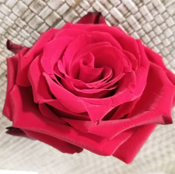 A Ceremony To Remember~Helen Emberly Officiant
