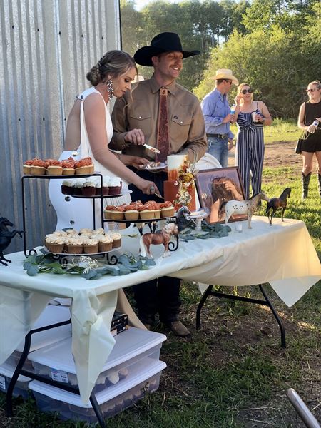 Quaking Aspen Springs- Rustic Ranch Venue