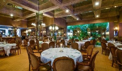 Wally's Desert Turtle