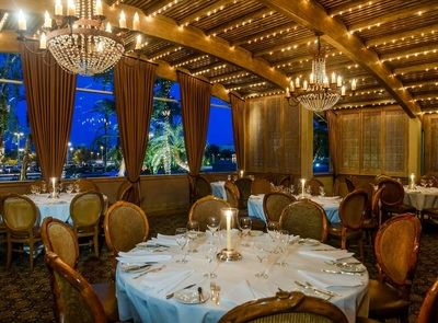 Wally's Desert Turtle