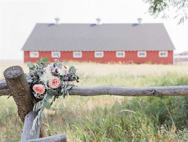 Wyoming Hereford Ranch