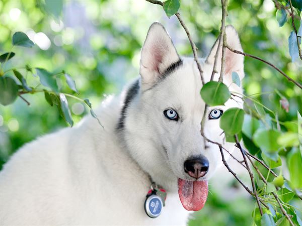 Julie Weisberg Photography