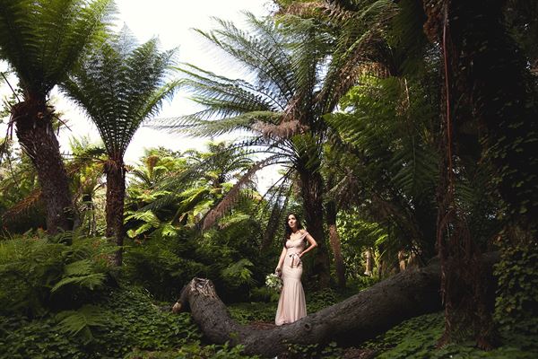 Julie Weisberg Photography