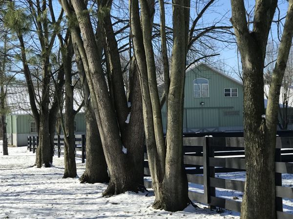 Saddle Lake Equestrian Center