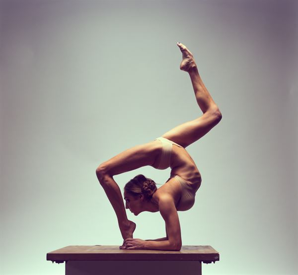 Aerial Muse Collective