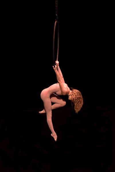 Aerial Muse Collective