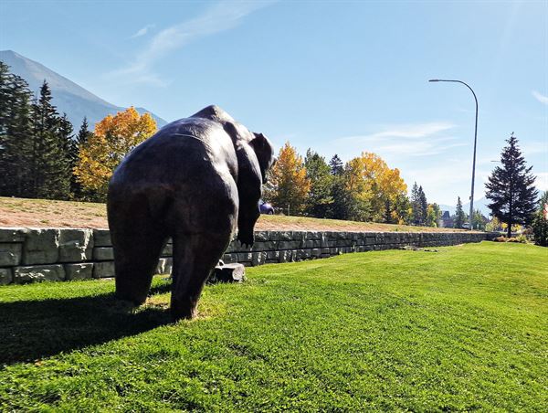 The Canmore Inn & Suites
