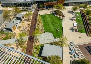 Wedding Ceremony & Receptions