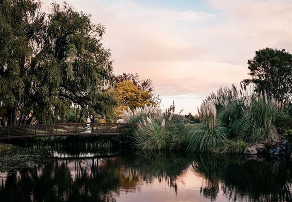 Fairview Valley of the Moon