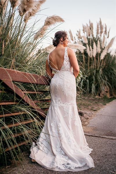 Fairview Valley of the Moon