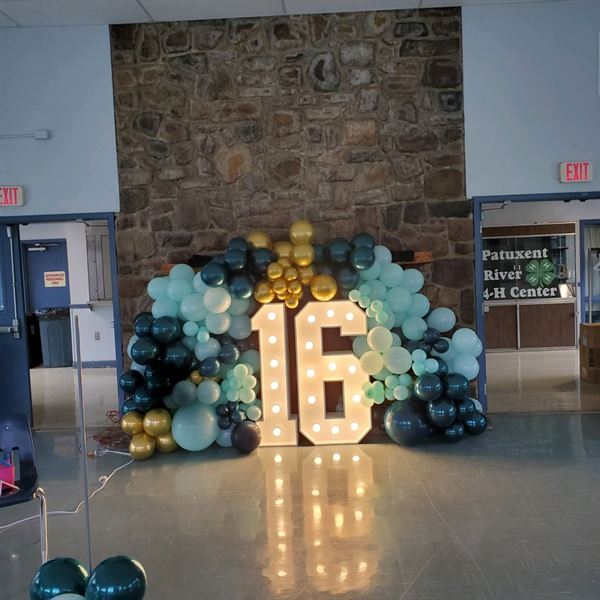 Pops & More  Balloons