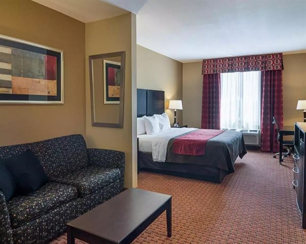 Comfort Inn and Suites Monahans