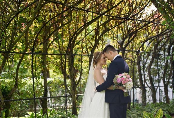 Wandering Tree Estate