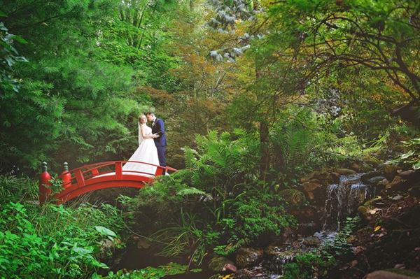 Wandering Tree Estate