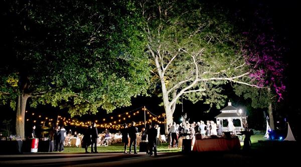 Wandering Tree Estate