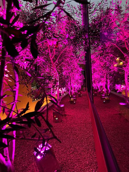 Distinctive Event Solutions