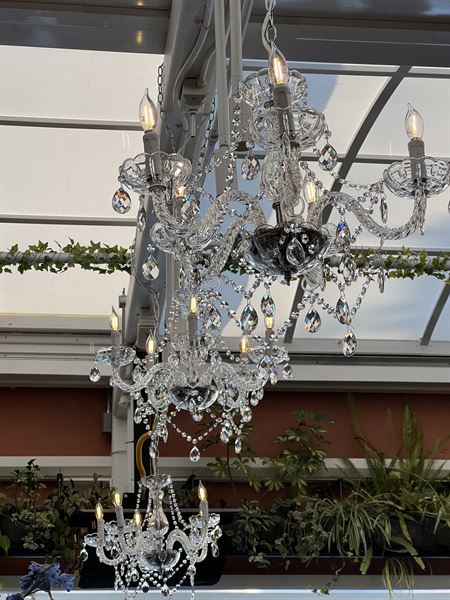 Distinctive Event Solutions