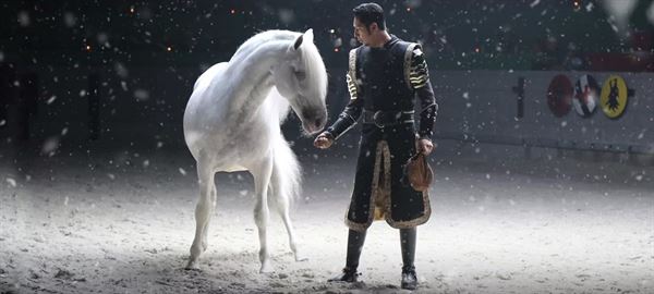 Medieval Times Dinner & Tournament