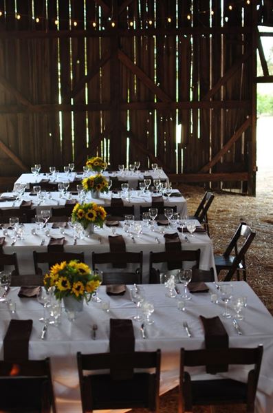 Nelson Family Vineyards