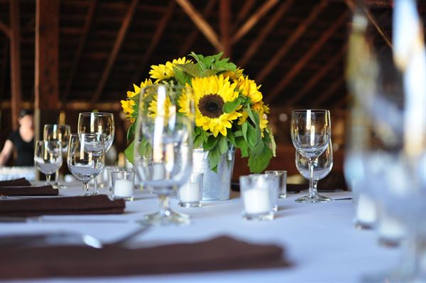 Nelson Family Vineyards