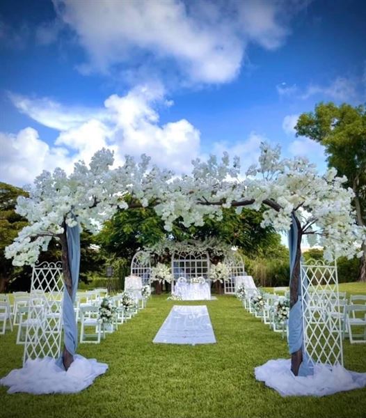 Hilton Palm Beach Airport