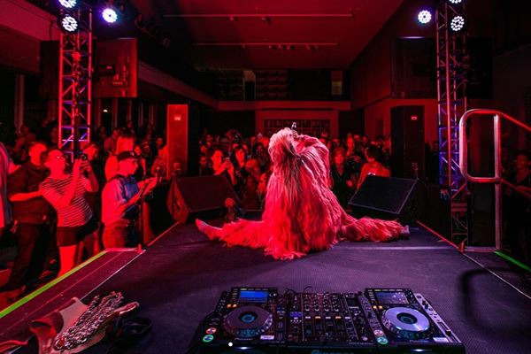 Contemporary Art Museum St. Louis