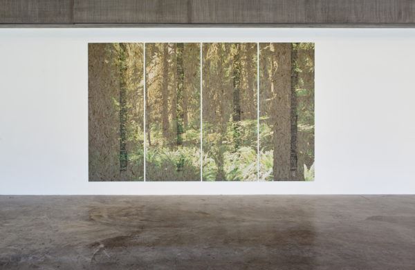 Contemporary Art Museum St. Louis