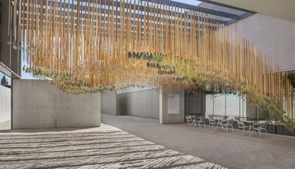 Contemporary Art Museum St. Louis