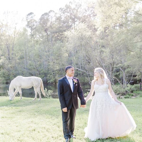 Morris Peaceland Farm