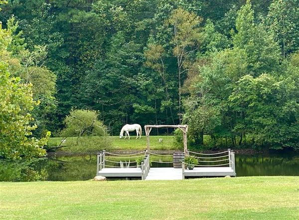 Morris Peaceland Farm