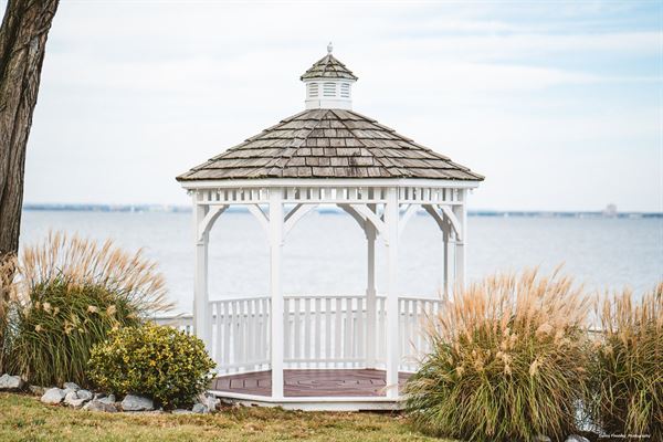 Celebrations At The Bay