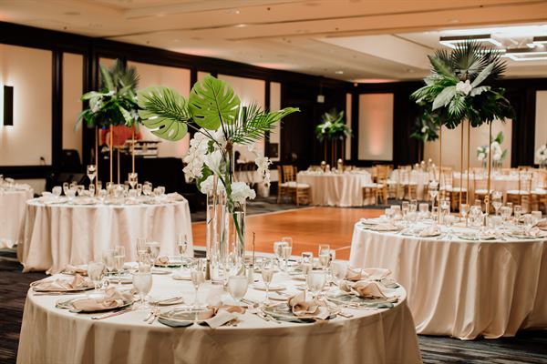 Bird of Paradise Events
