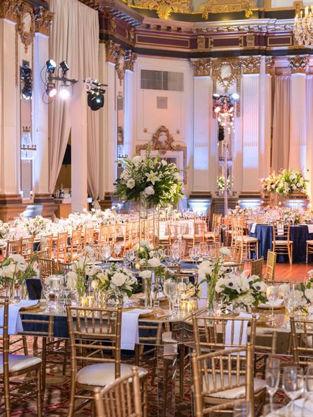 Bird of Paradise Events