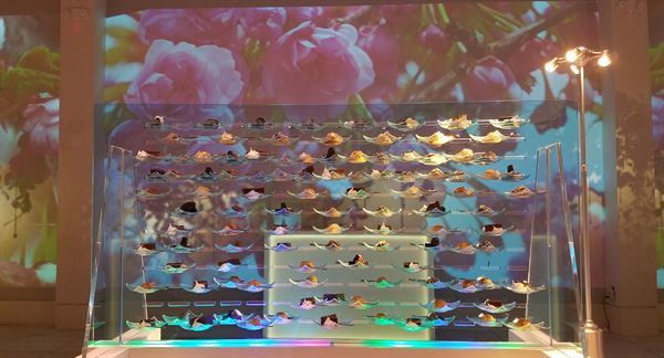 Chef Smirnov Catering LLC