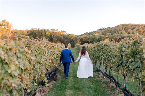 Stoney Brook Vineyards and Winery