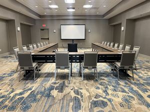 Pelican and Flamingo