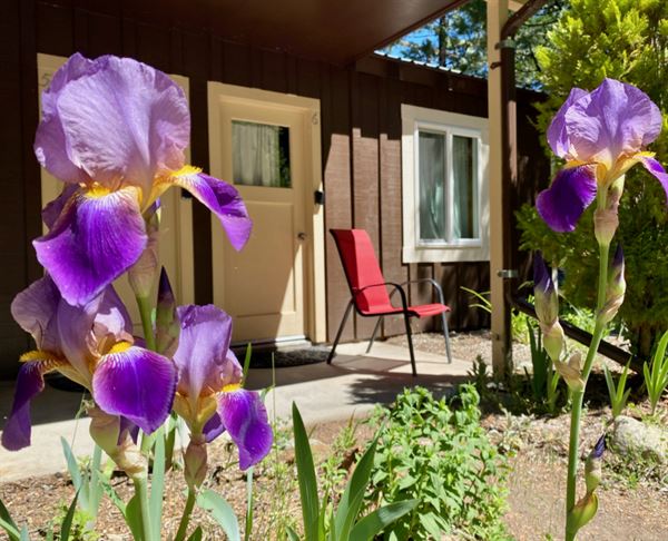 Stewart Mineral Springs Resort