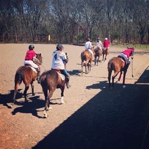Outdoor Polo Arena