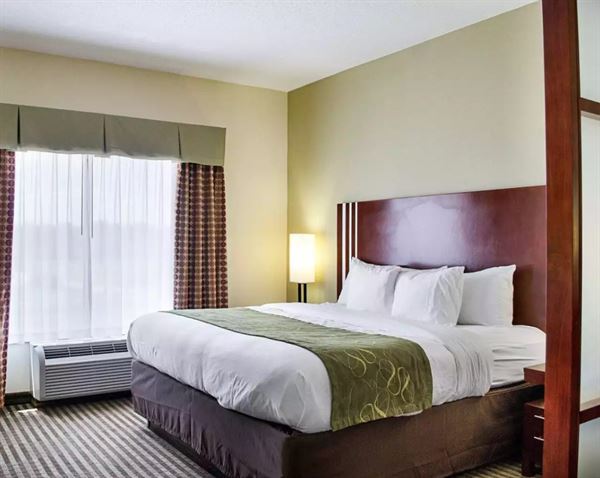 Comfort Suites Greenwood