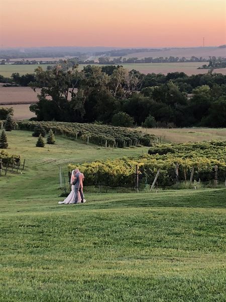 Soaring Wings Vineyards